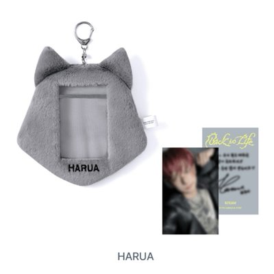 &team快閃店 卡套