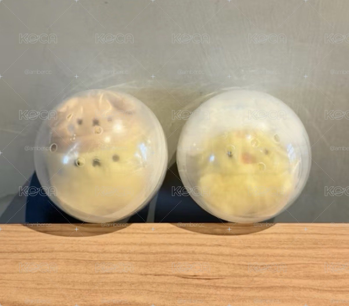 現貨🍭三麗鷗X Studio Haneul絨毛玩偶扭蛋