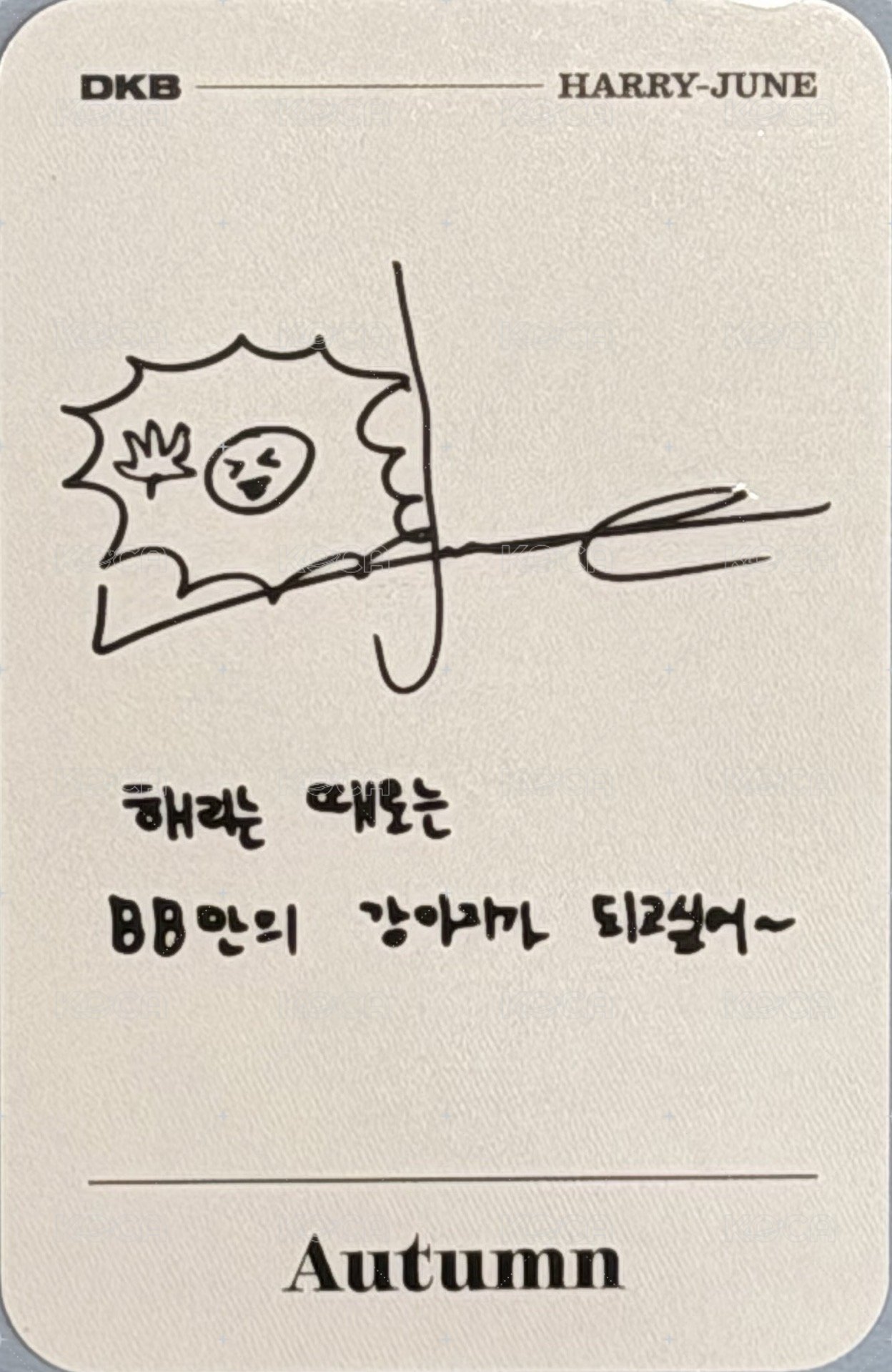 迷你五 專輯卡  背面