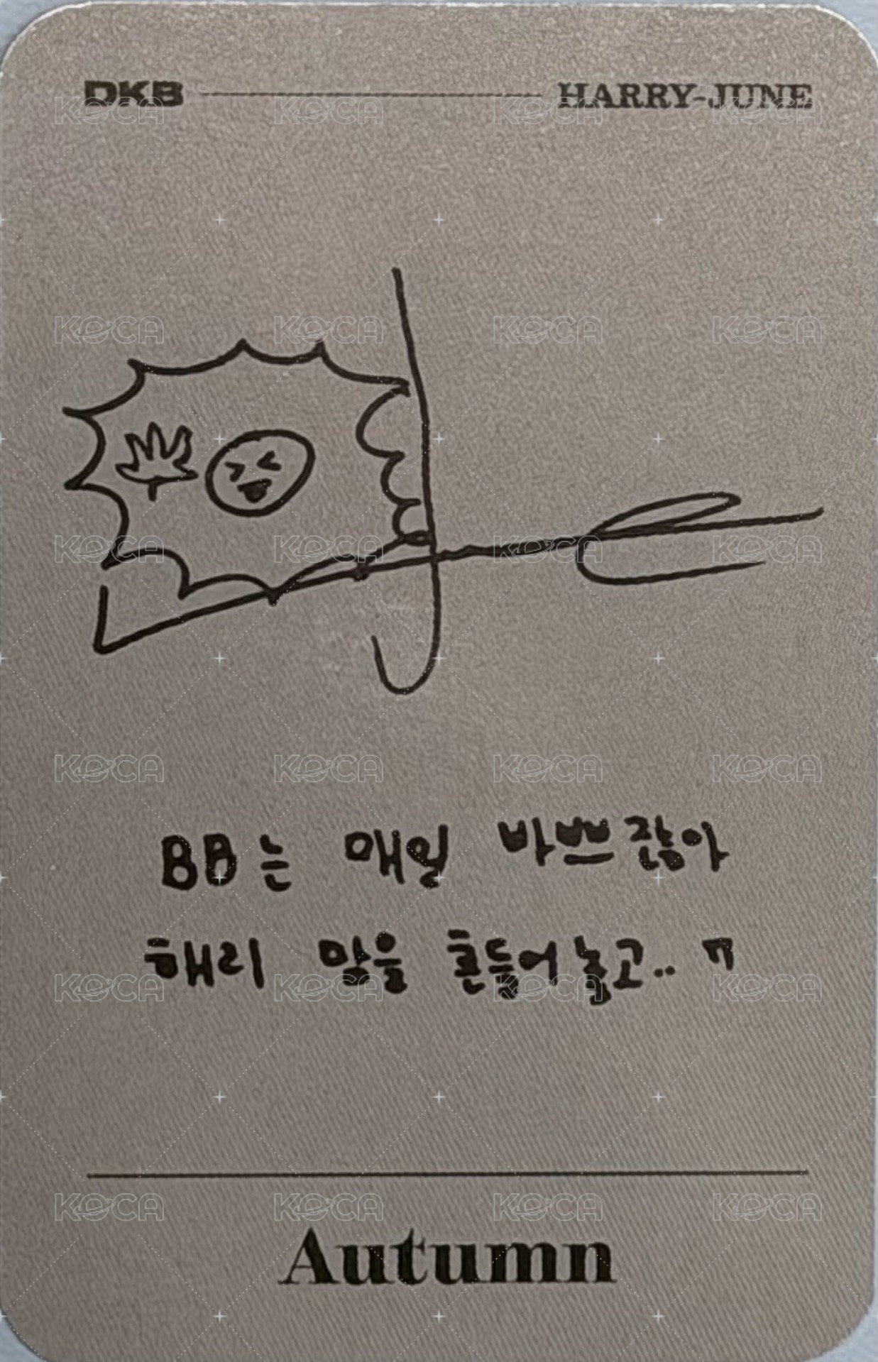 迷你五 專輯卡  背面