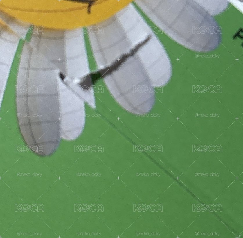 《現貨》｜碩｜迷11 WVS專