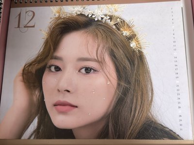 （現貨不拆出）TWICE 子瑜 baby lovelys 寶寶娃 2019 2020 年曆 桌曆 大卡