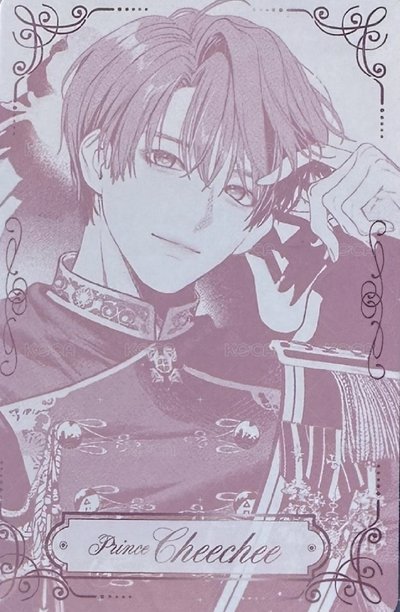 兩週年FM 隨機卡 （自拍/官拍/漫畫皆有）