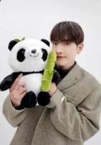 Will   幸運卡 bilibili收藏卡