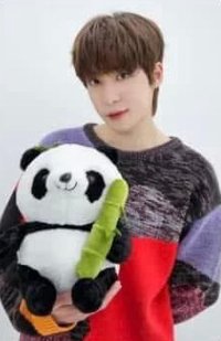 Will   幸運卡 bilibili收藏卡