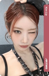 入場卡 / 場限卡 D336