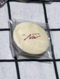 IGU 鑰匙圈 NA 徽章