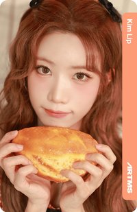 入場卡 / 場限卡 E305