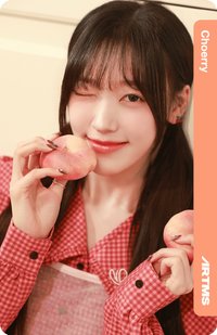 入場卡 / 場限卡 E305