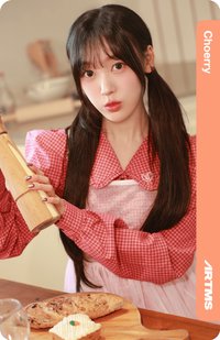 入場卡 / 場限卡 E306