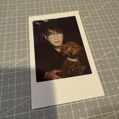 DIAMOND EDGE 拍立得 炸雞小狗圓