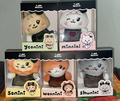 i-dle We are minini PLUSH 娃娃玩偶 二代盒娃 ㄧ套出不拆售
