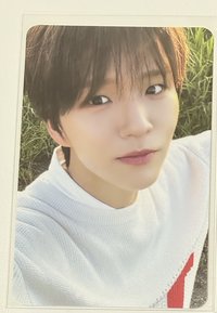 草地樹（隨機卡）