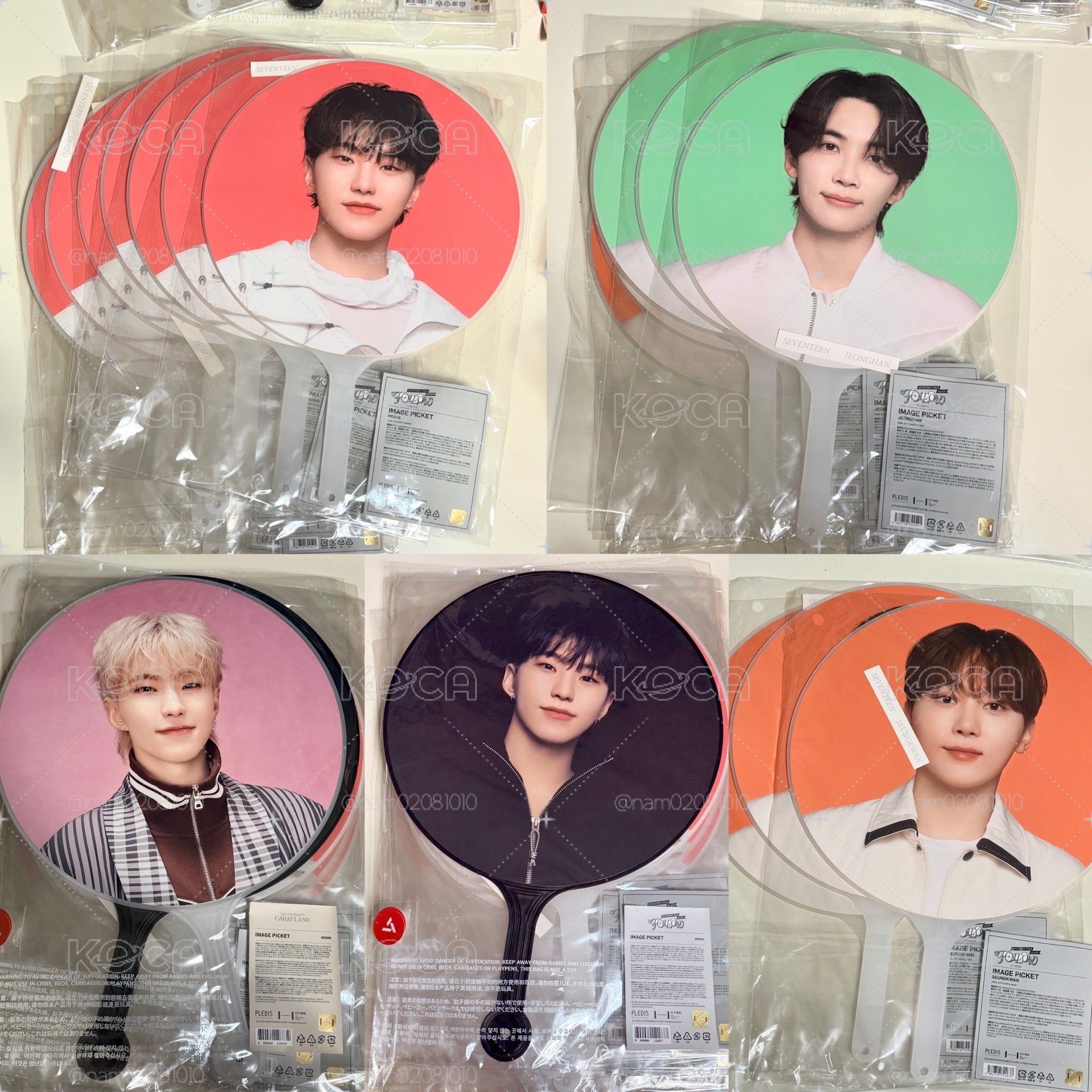 (盤出) SVT 大王扇盤