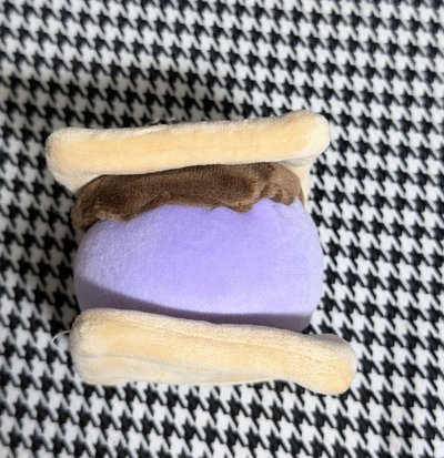 (現貨 狀態特別可愛）TWICE savely sana baby lovelys 餅乾娃