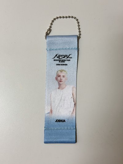 NEW日巡小旗幟 秀