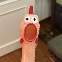 🌶️（專輯類3/29出貨，可正常下單）