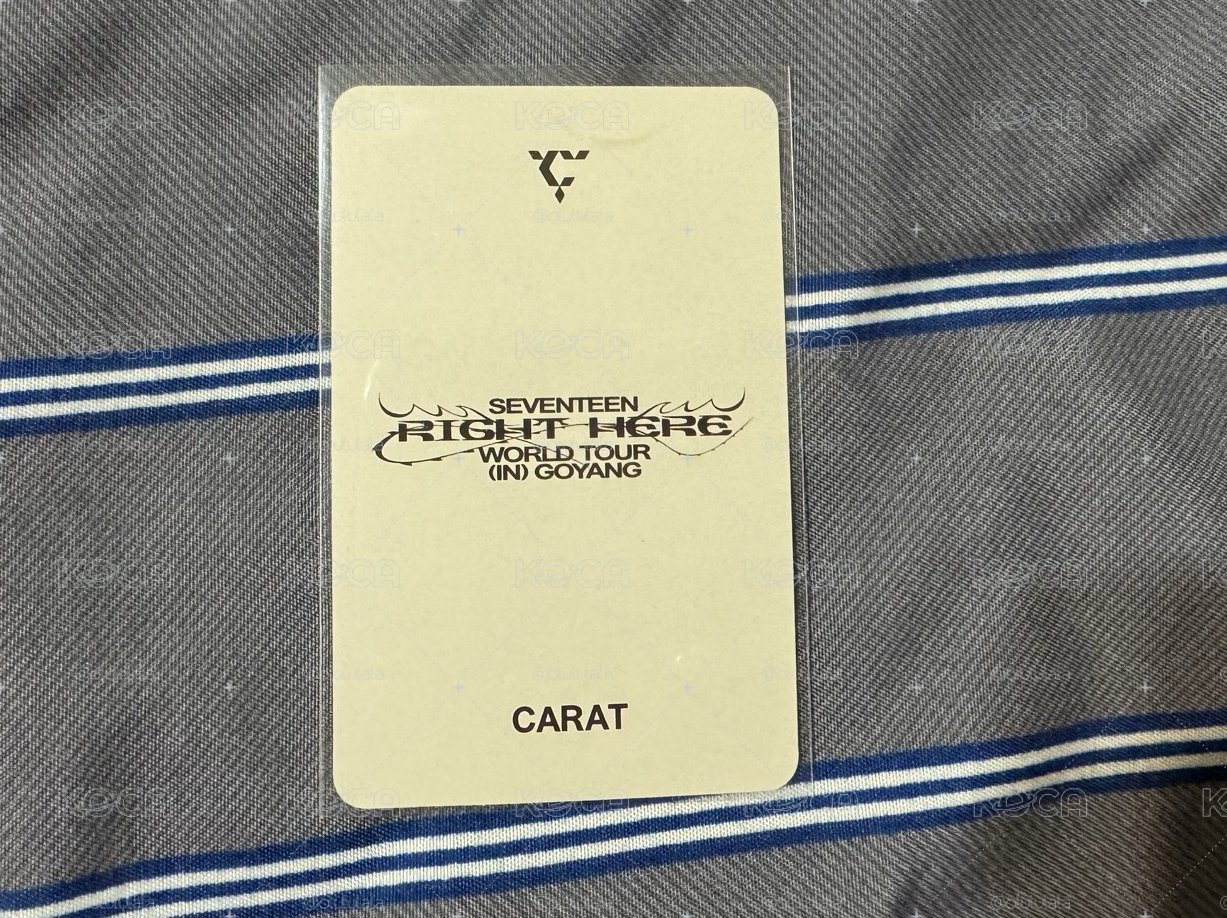 Seventeen Right here克拉粽 圓佑/貝雷帽淨漢/毛巾圓磁鐵/迷7四格卡（盤出）
