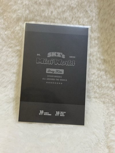 2023年迷你世界年曆拍立得玟