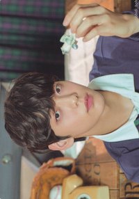 21 FANLIVE 隨機卡 