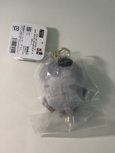 彩色熊 灰色 代購線下購入 全新未拆