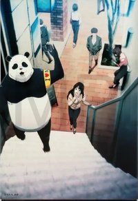 貓熊