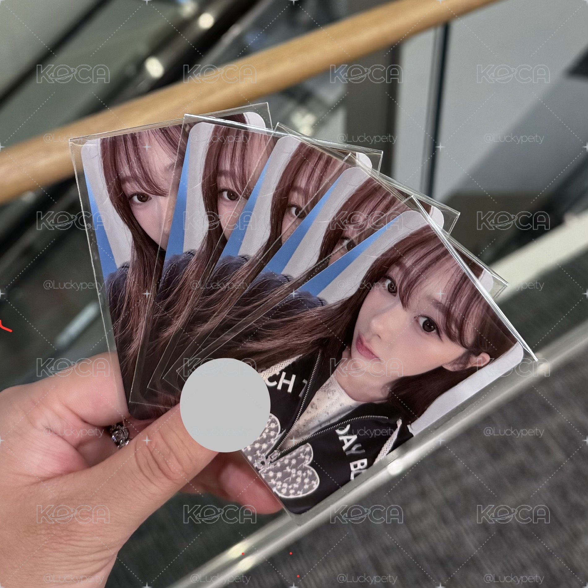 現貨 WackyWilly 2.0