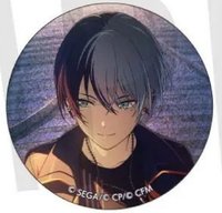 vol.36c細閃 徽章 