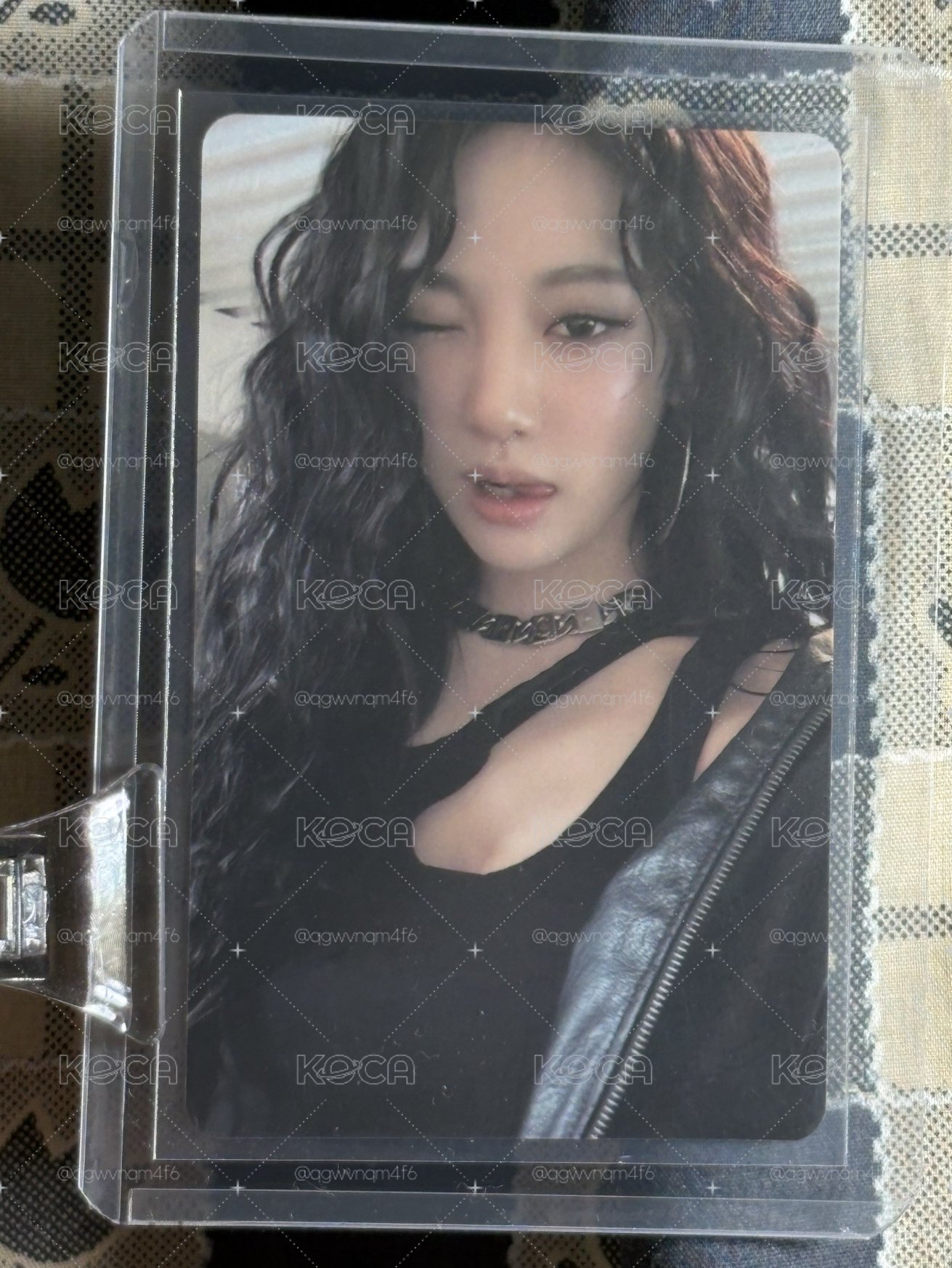 卷毛吐舌wink的美女寧