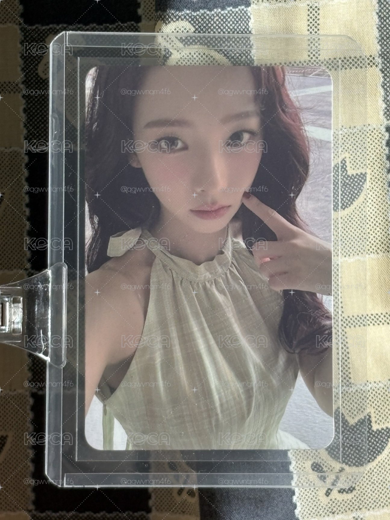 戳臉的萌萌柚