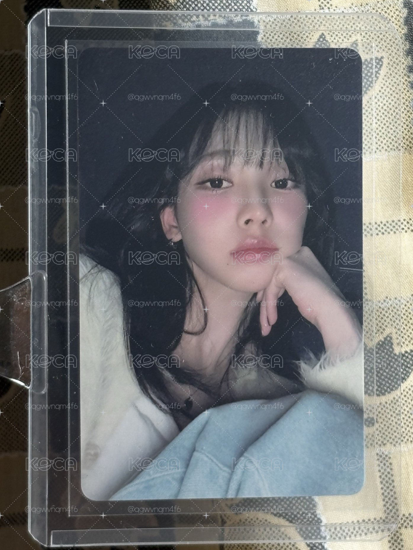 美的很輕鬆的柚
