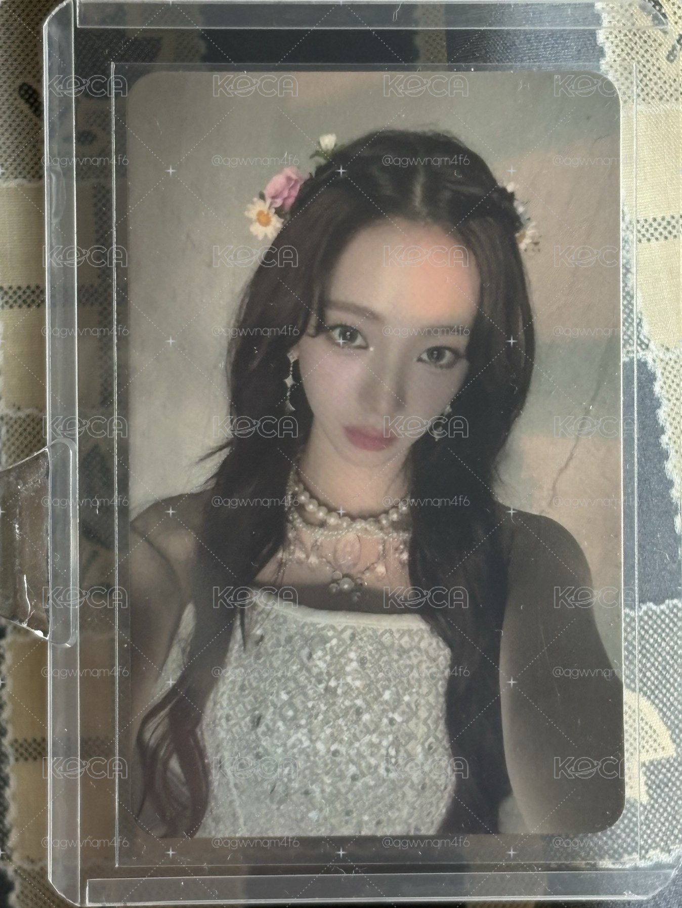 可愛的公主柚