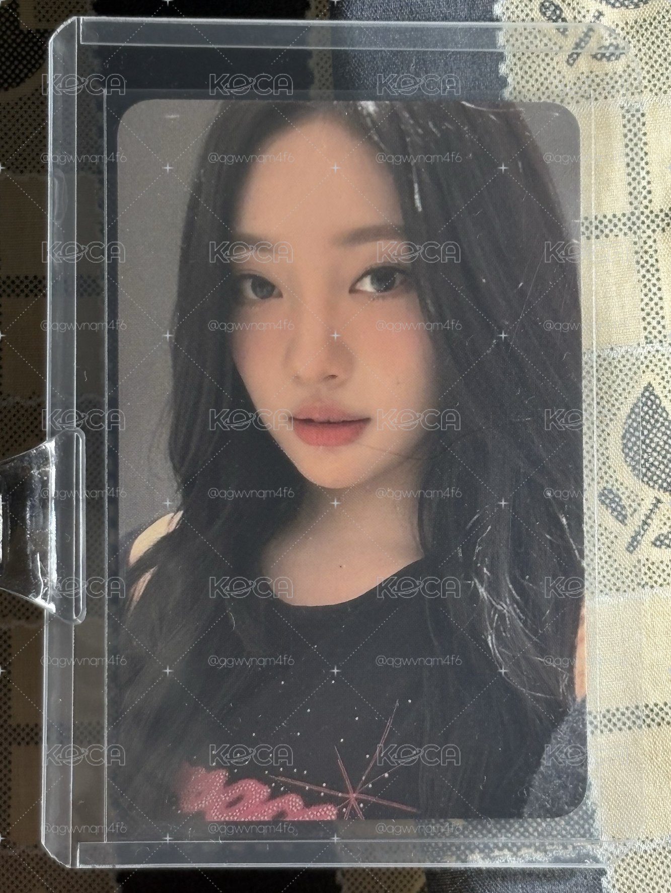 萌萌萌的小寧貓