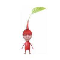 suuoy