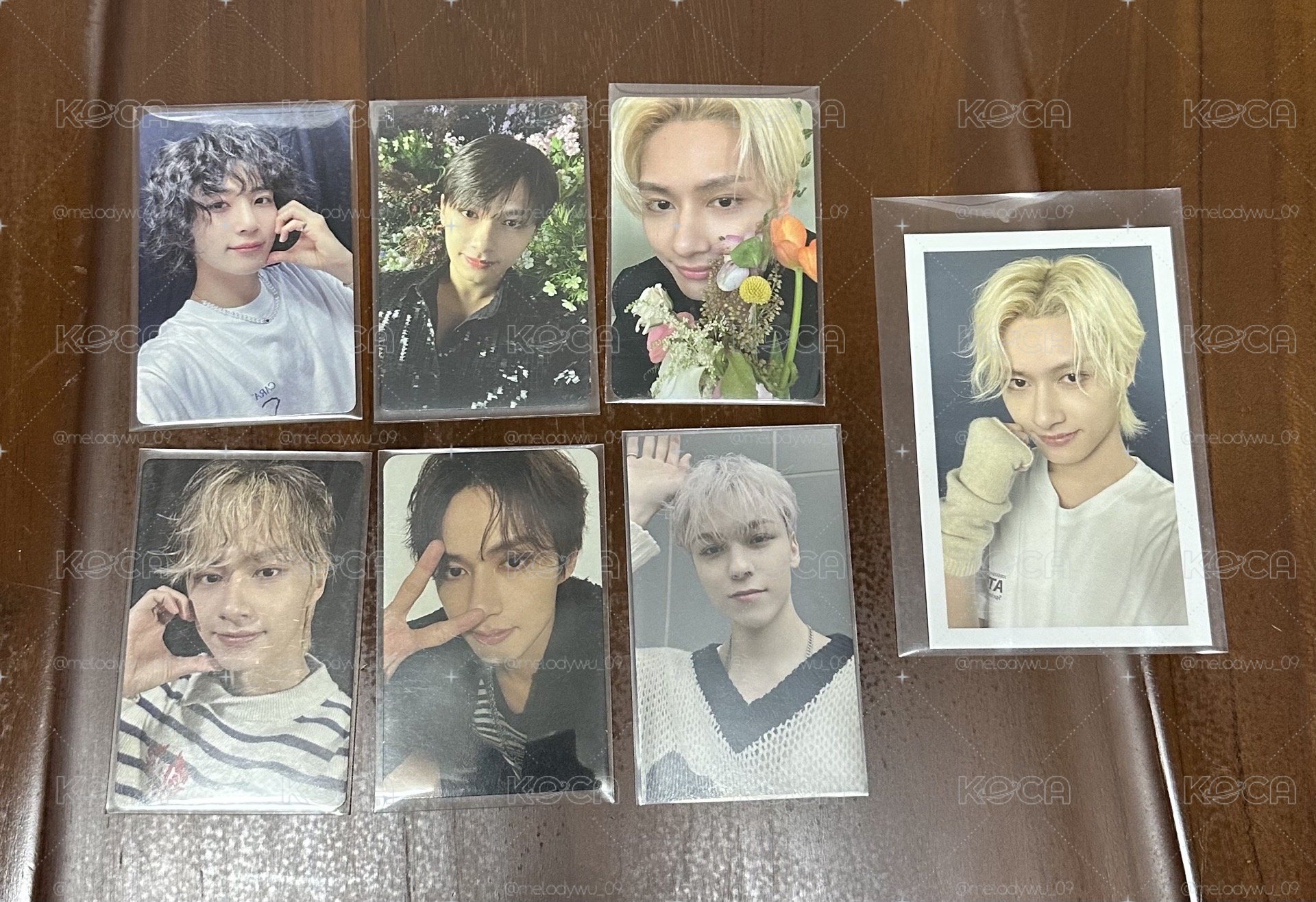 SEVENTEEN 小羊漢盤&哲漢卡