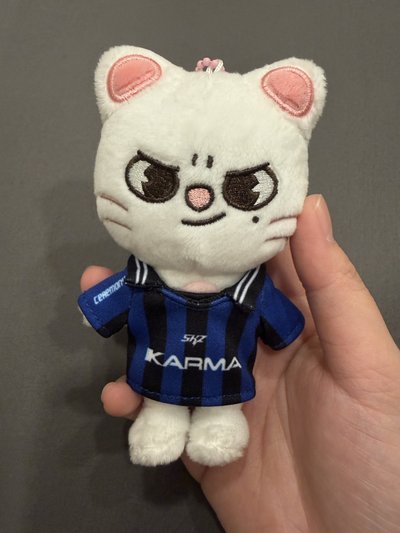 KARMA 辰娃專（已掃）