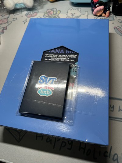 SEVENTEEN NANA TOUR+BNB+淨漢橘字T