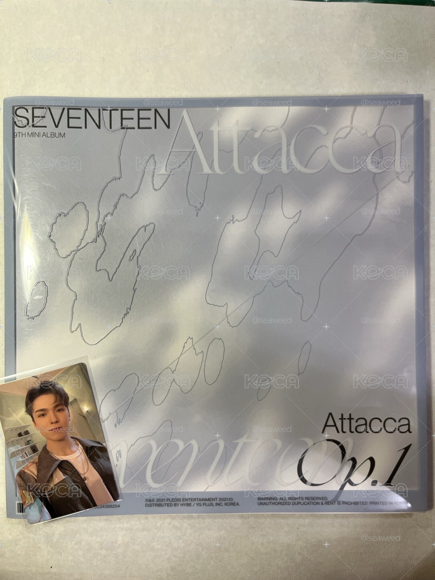 SEVENTEEN 已拆全專出清