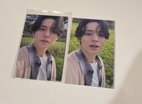 陽光小狗（左）