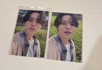 陽光小狗（右）