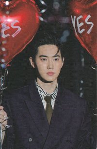 Grey Suit 貼紙組 周邊卡 
