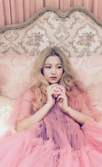 The Velvet 專輯卡 