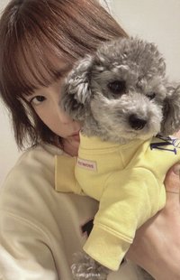 2022冬專 專輯卡 Portrait Book Ver.