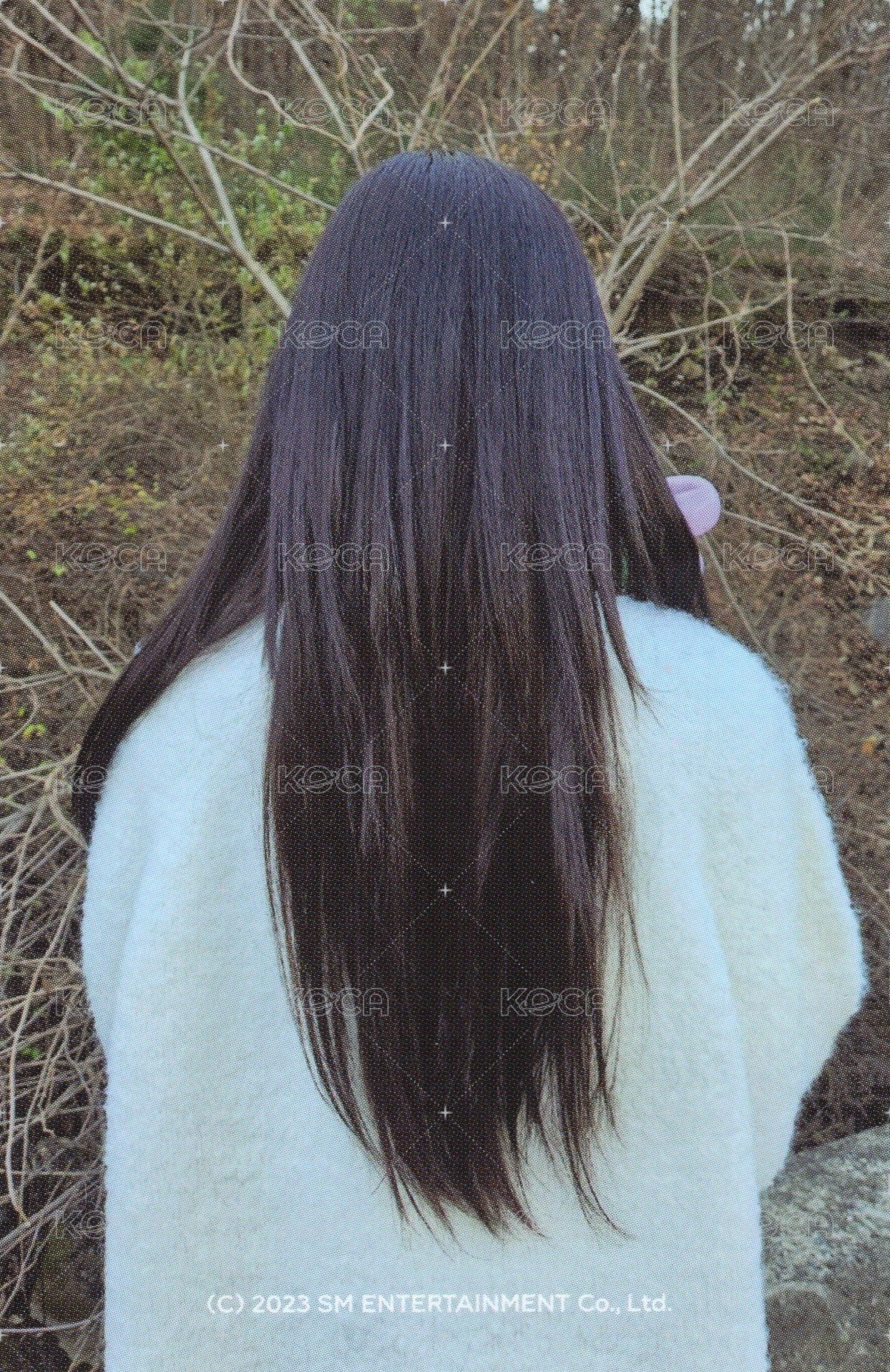 2023聖誕 周邊卡 立牌太 背面