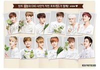 自然樂園 變色唇膏