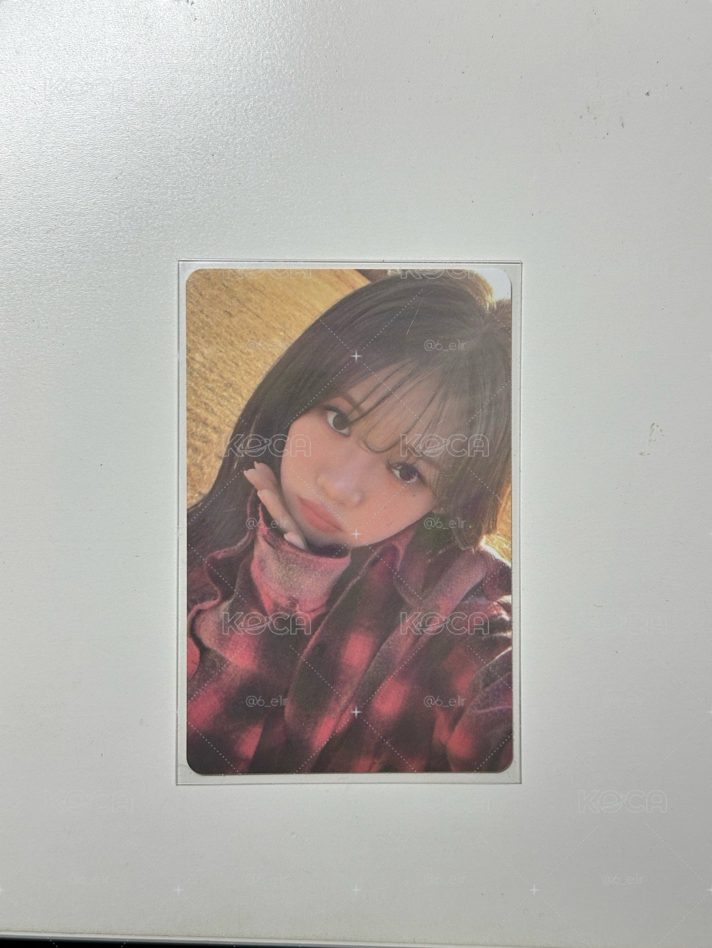一週年 wvs 周邊線上 滿額卡 b ver