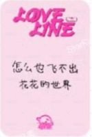 LOVELINE sr 簽售卡  背面