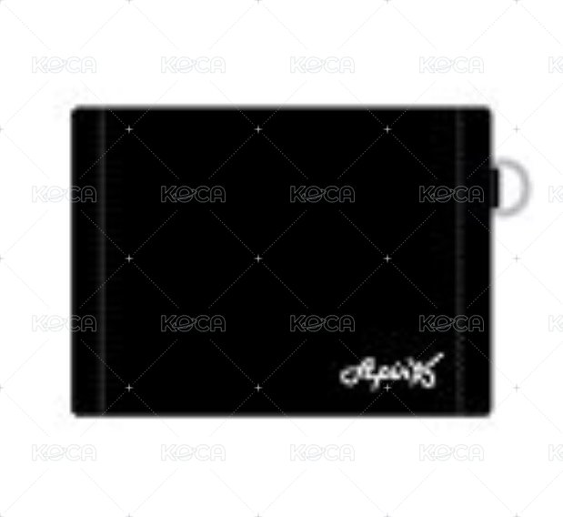 CANVAS WALLET