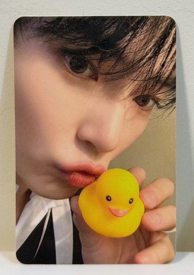 現貨/ZB1 迷五am簽售卡 鴨子（8張一套無辰✨）