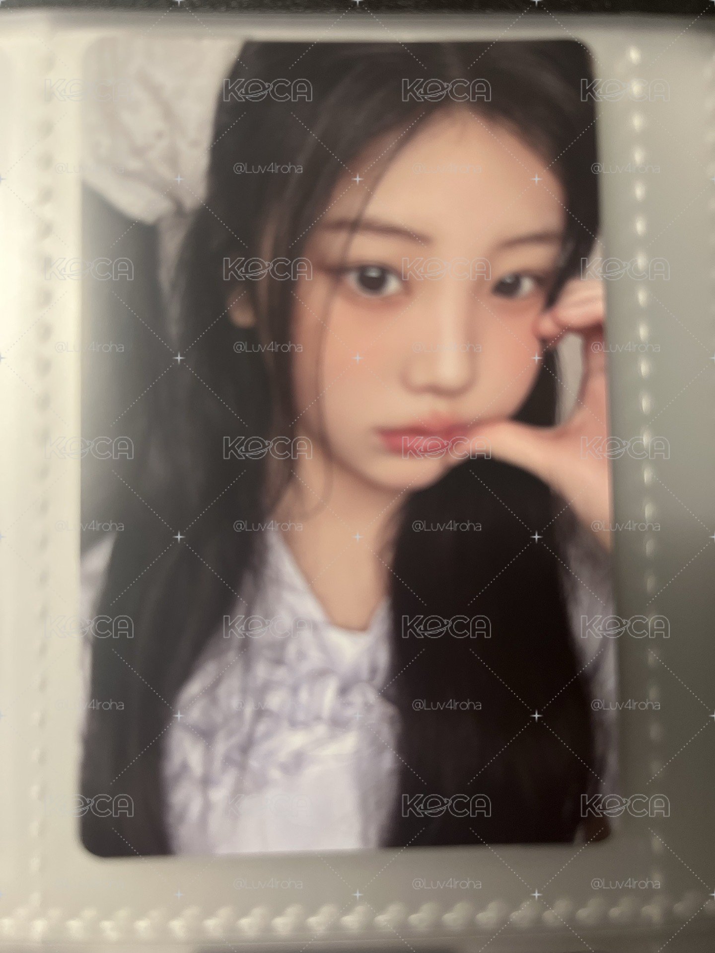 沅禧